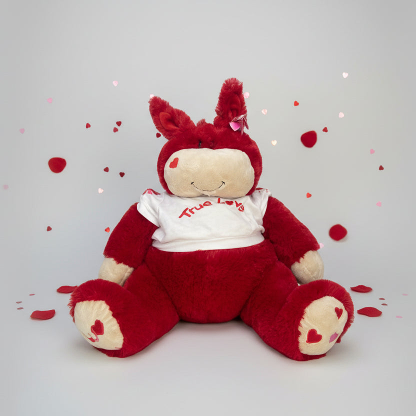 Valentine Teddy