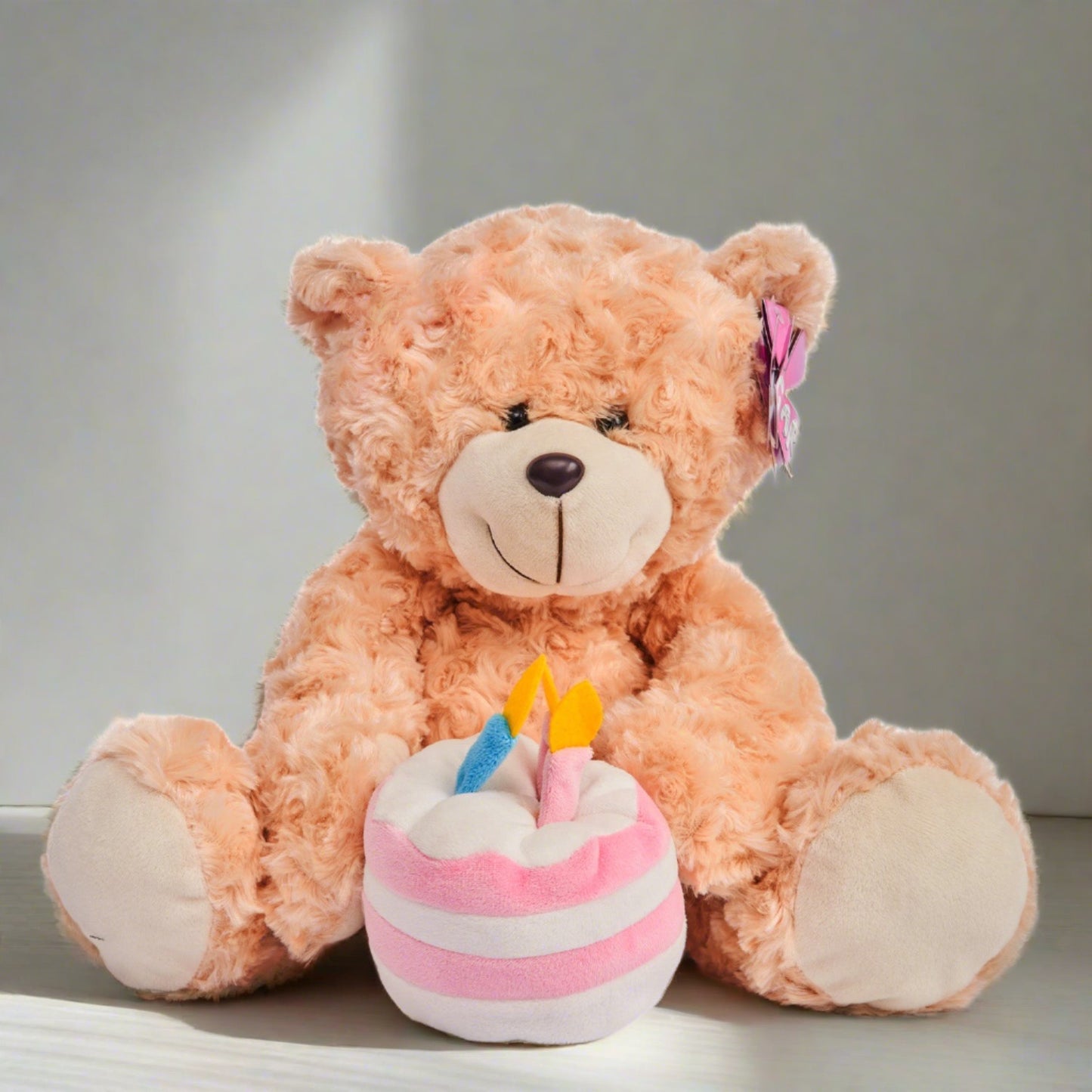 Teddy bear with a cake