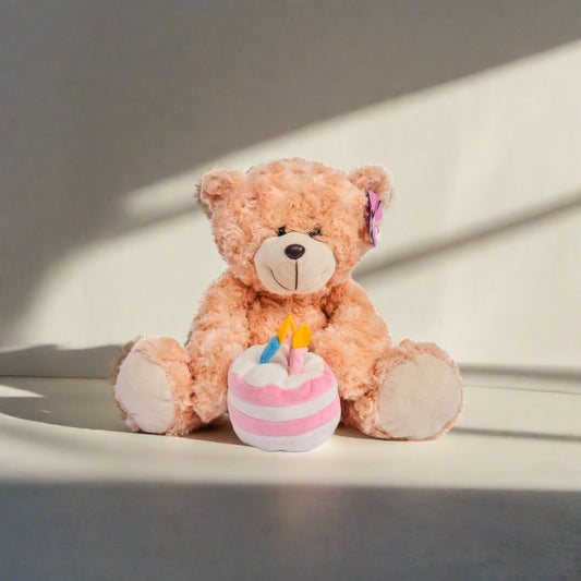 Teddy - Bear - S