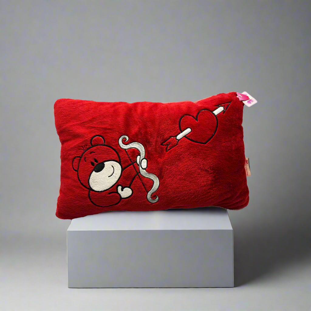 Heart Targeting Cushion