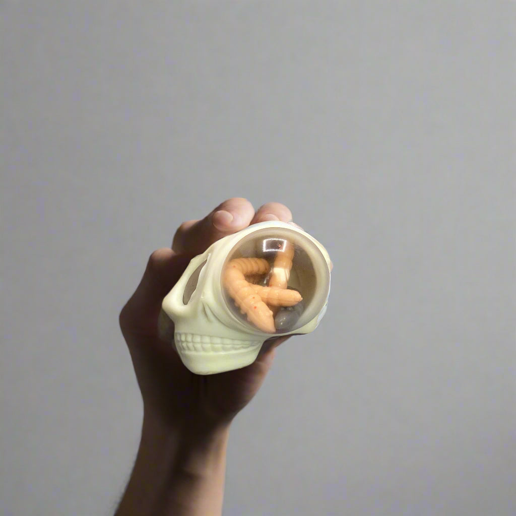 Hand holding a small white container with a clear lid against a plain background