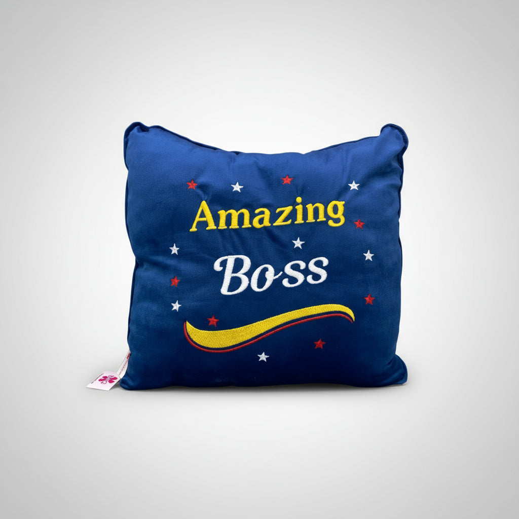 Amazing Cushion For Him