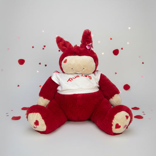Valentine Teddy