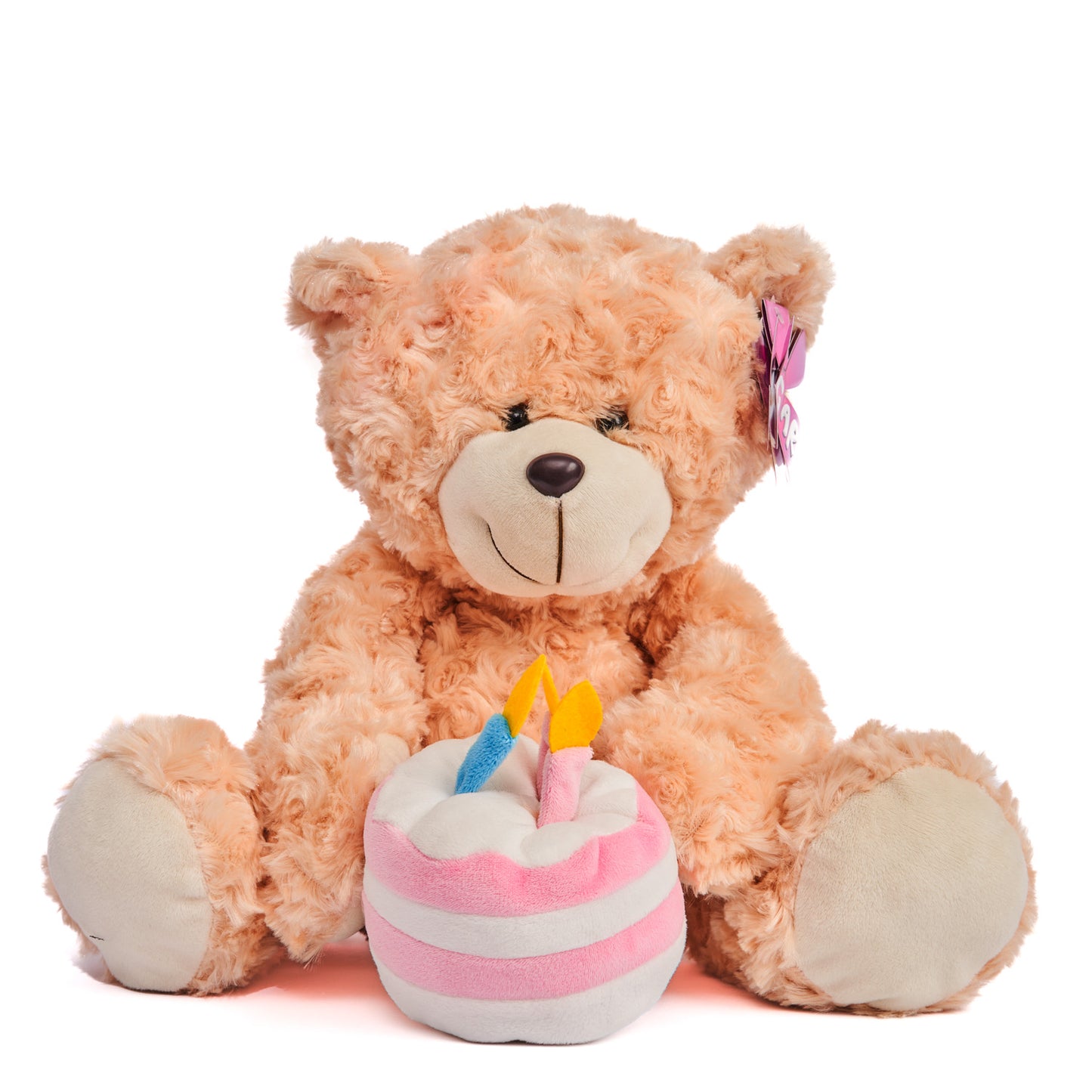 Birthday - Her - Teddy