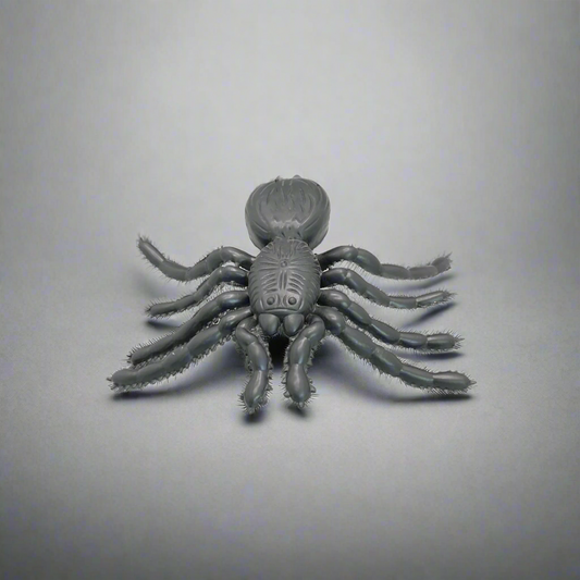 Halloween Spider Large Size