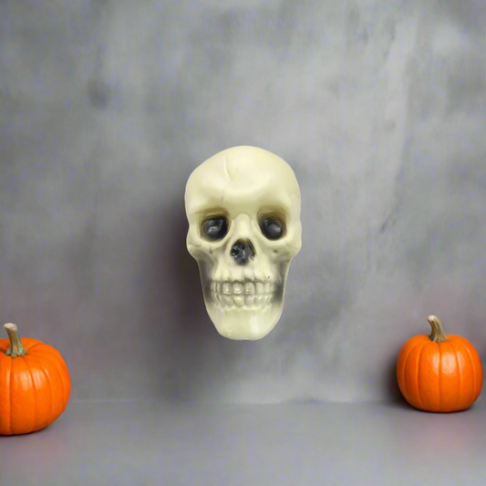 Halloween Human Skull